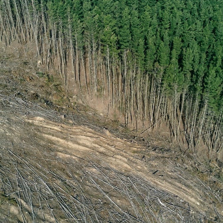 An example of large scale deforestation, which is one of the key human driven drivers of climate change. 