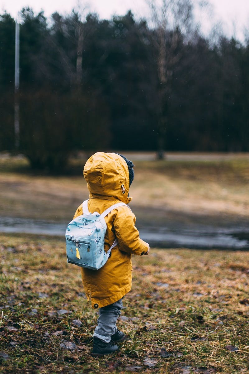 A child walking in a park close to some woods. 