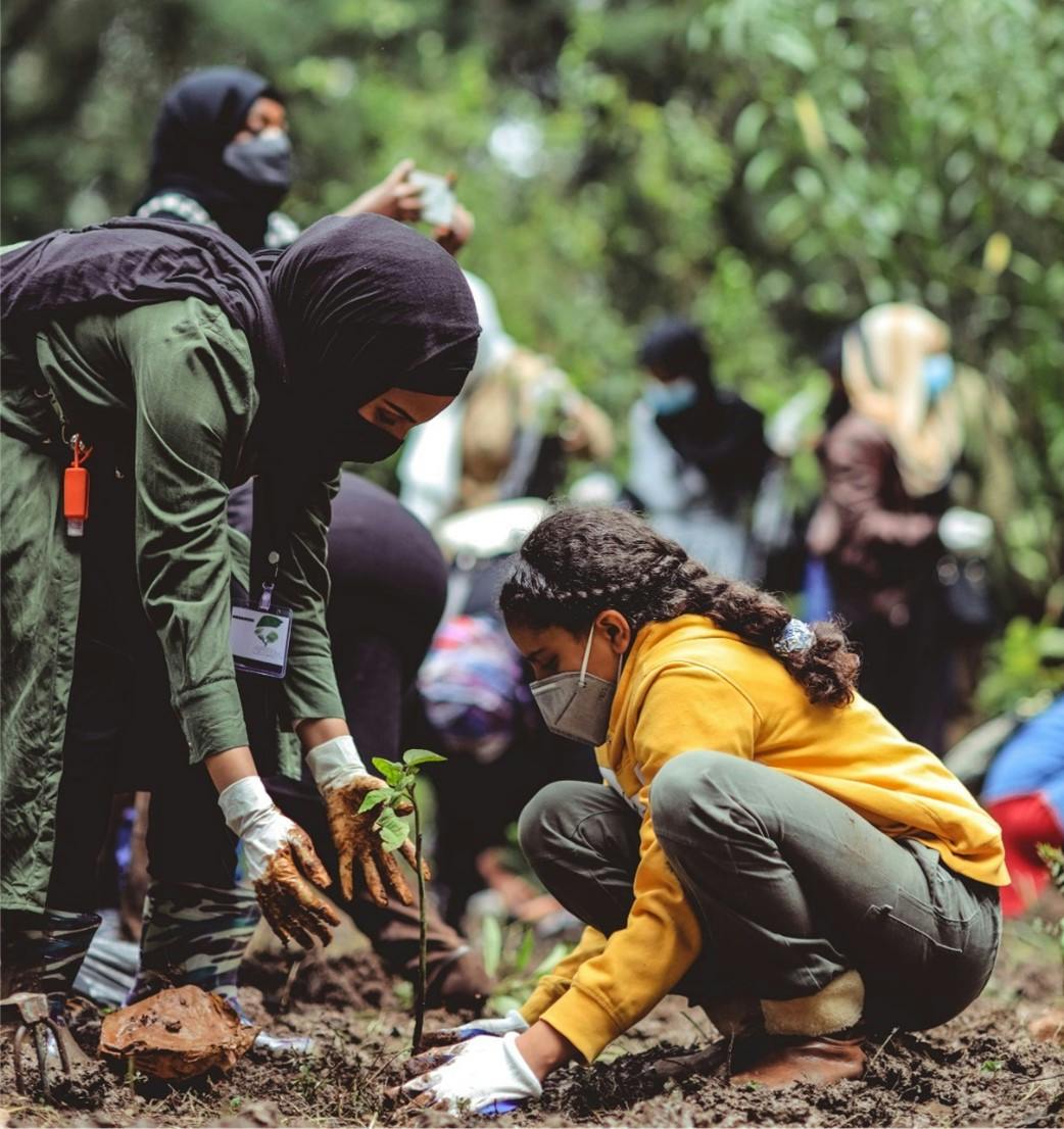 A lady planting a tree