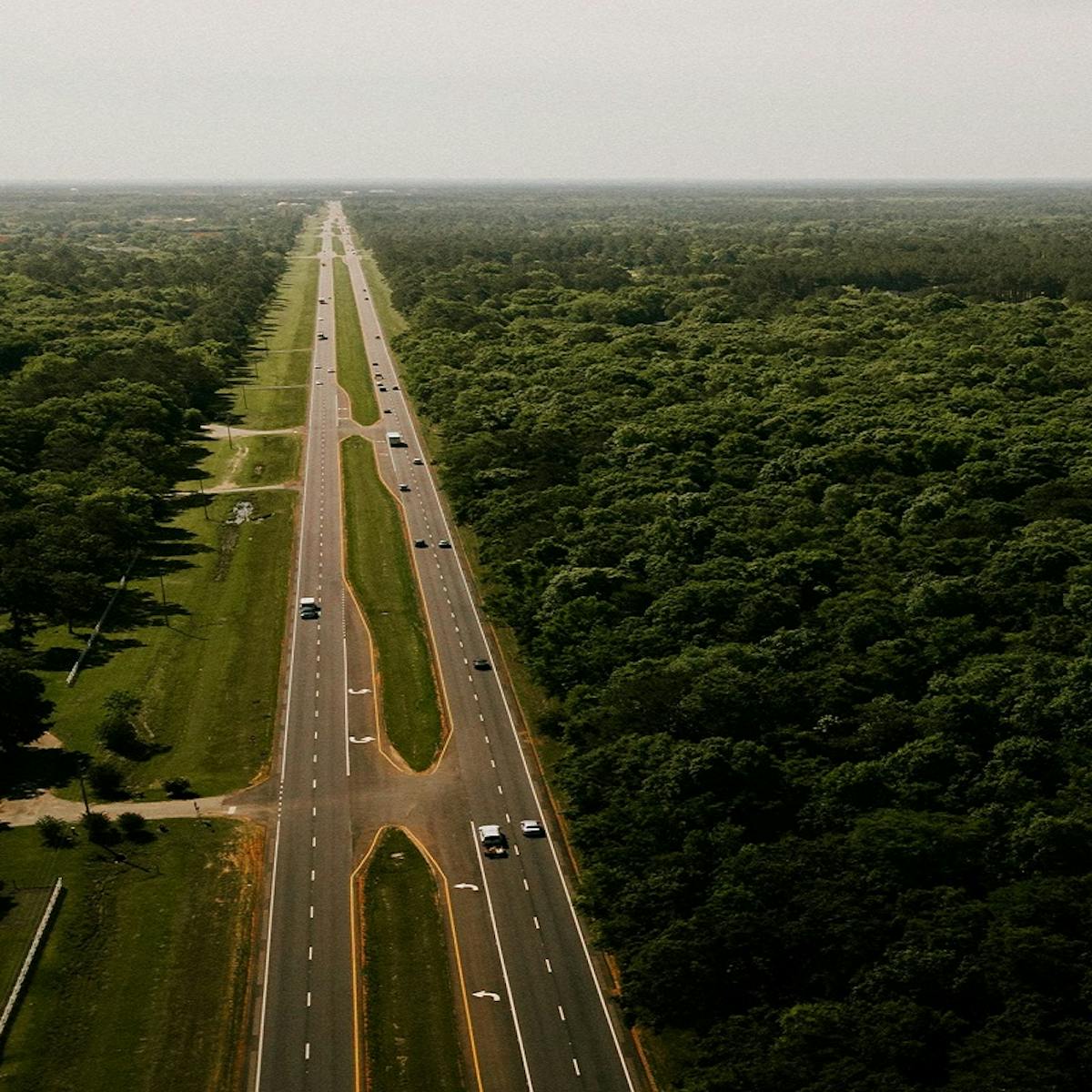 An interstate splits through a forest. The omission of wildlife corridors on an interstate like this means no safe crossing for animals.
