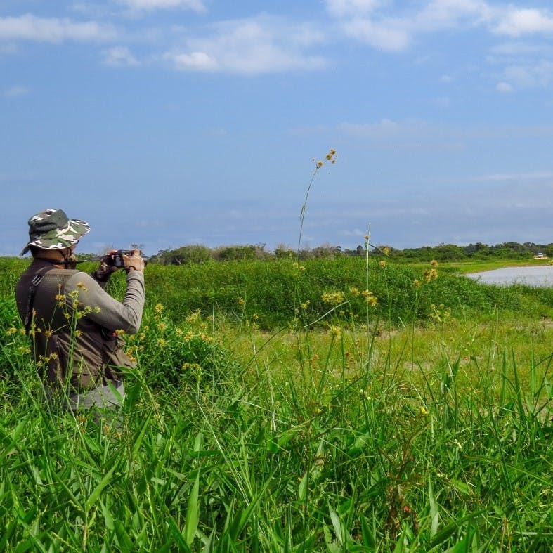 a birdwatcher taking a photo