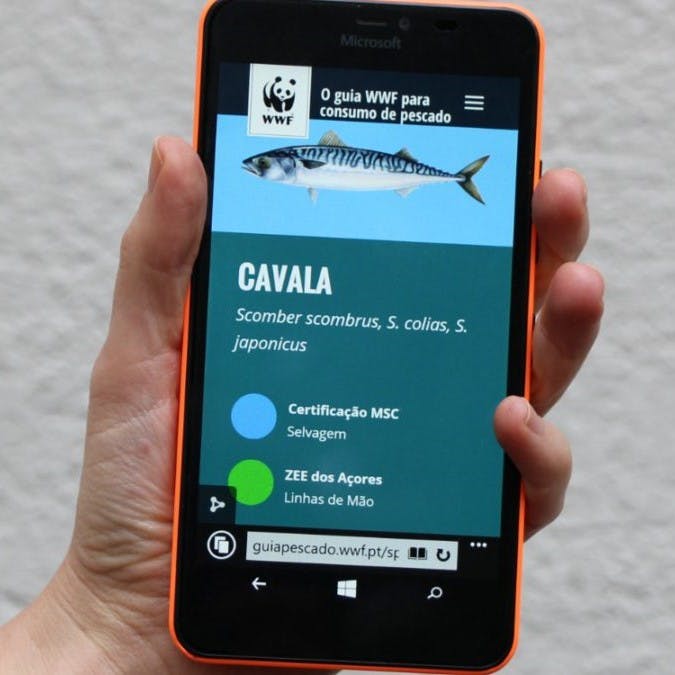 A person using a sustainable seafood app. An essential app for anyone adopting a pescatarian diet