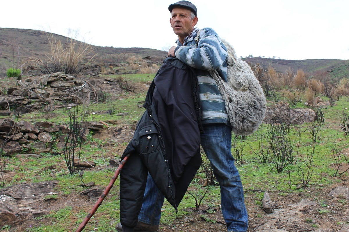 A local sheep farmer, who has had his fair share of run ins and attacks on his flock from the Iberian wolf.
