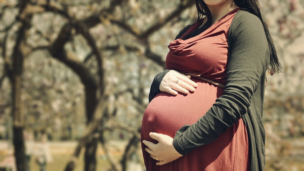 A pregnant lady in the forest