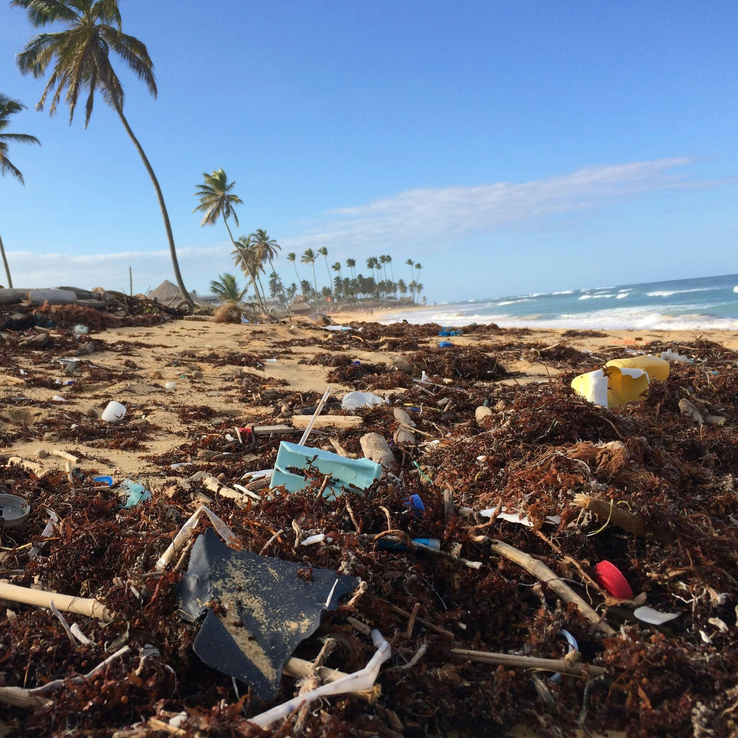 A tropical beach covered in plastic that is definitely in need of a beach clean up.