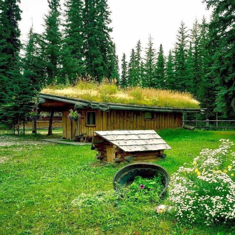 A house with a grass roof faces a lake. Green roofs, an excellent addition to an eco home, insulate and prevent water damage.