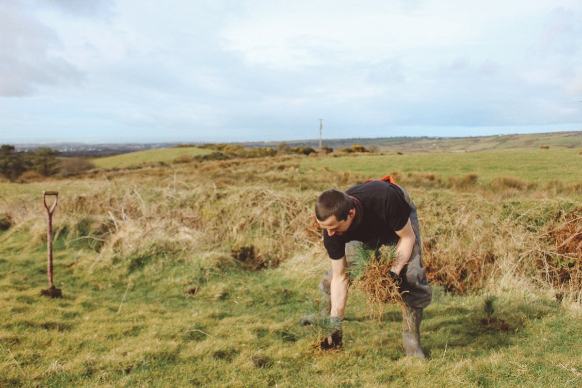 A tree planter working at a Mossy Earth reforestation project in Ireland.