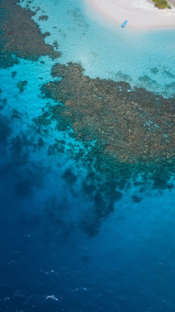 An aerial photo of a coral reef. Coral reefs and other marine ecosystems are under threat from toxin ingredients found in non eco friendly makeups, sun creams and other cosmetics. 