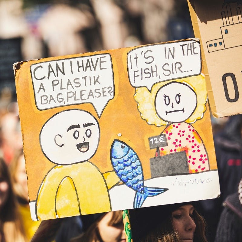 A climate crisis demonstration. The increase in such demonstrations reflects the world's eco anxiety.