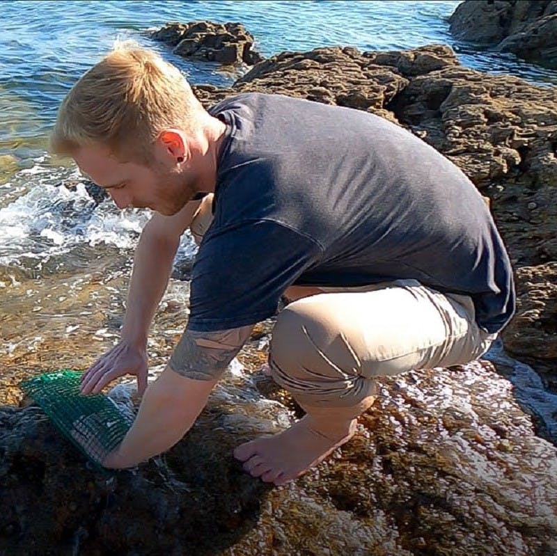 Jan Verbeek, a marine biologist from SeaForester demonstrating the spore bag technique at the project area.