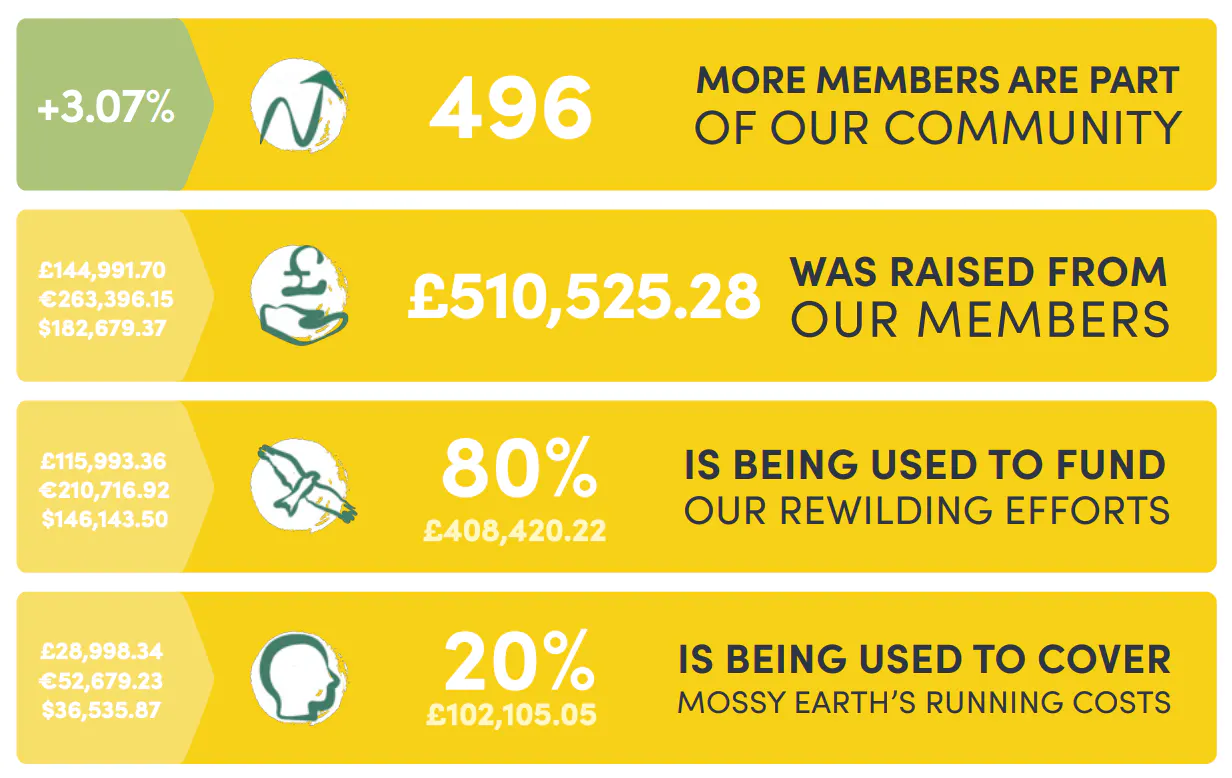 Mossy Earth top level summary of Q1 quarterly report