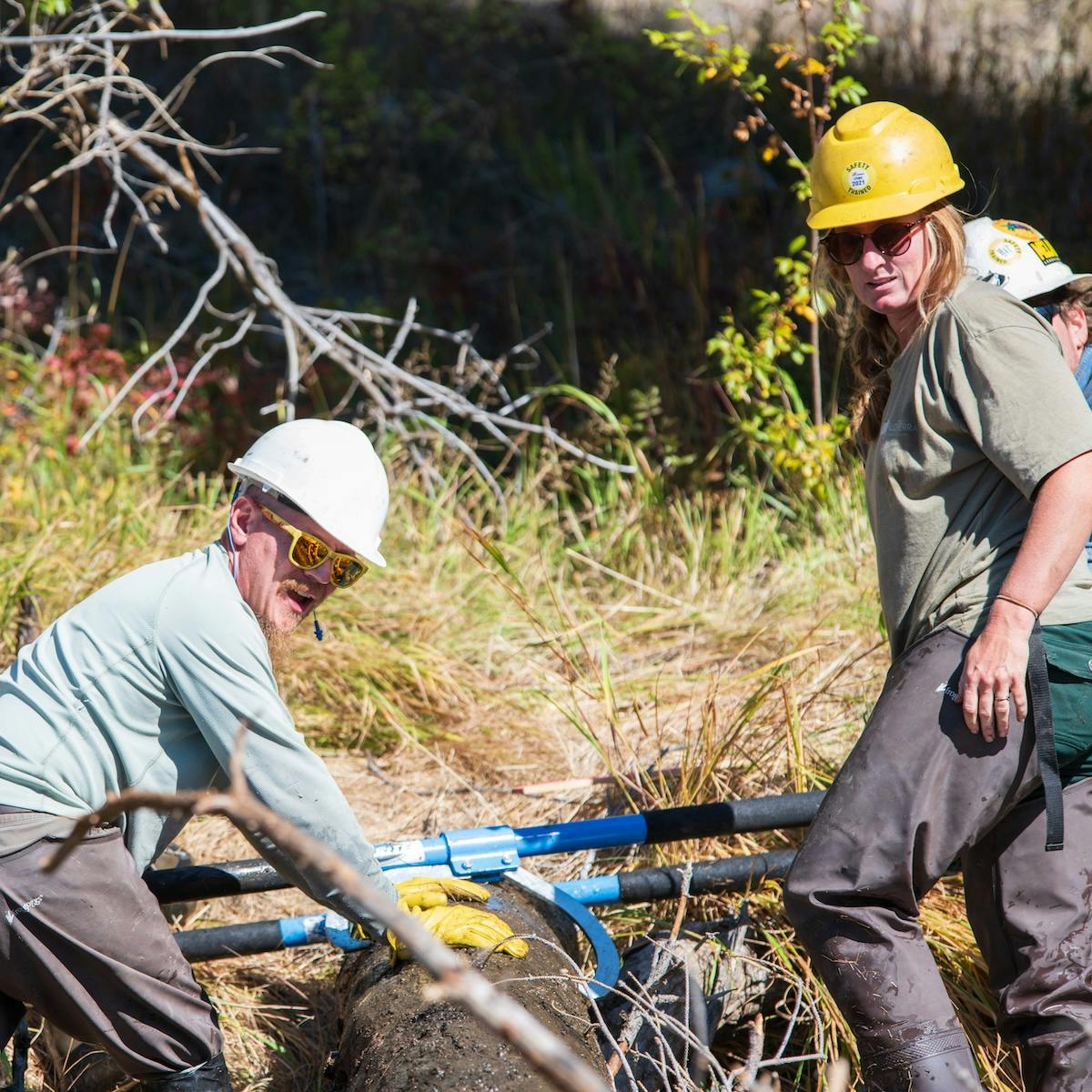 the team installing fake beaver dams