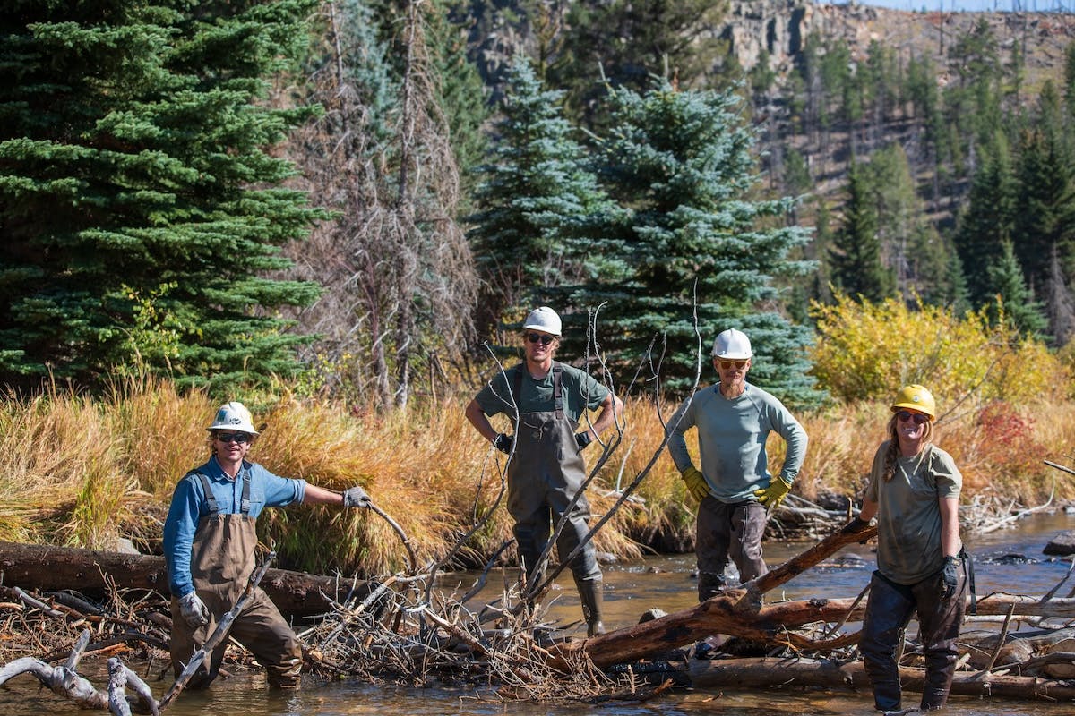 the Coalition for the Poudre River Watershed team installing fake beaver dams