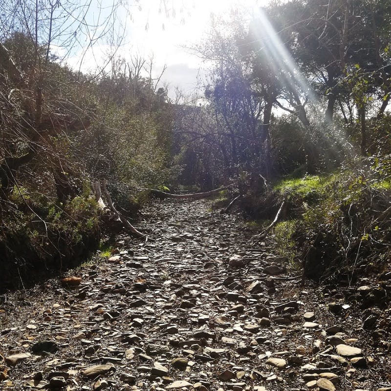 the sun shining on a stretch of dried rocks and soil where there once was a stream