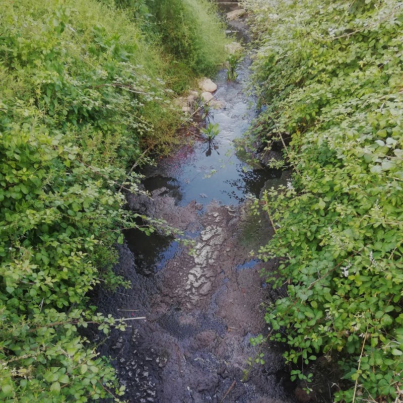 stream polluted by untreated waste water