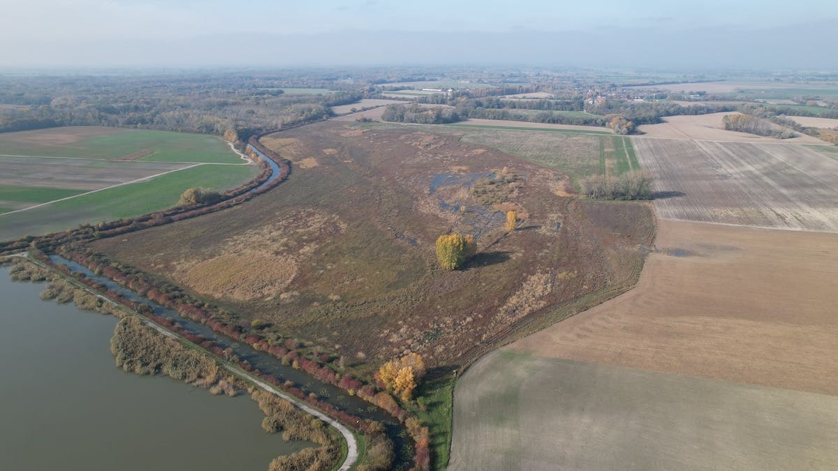 wetland created by diverting part of the Ciliz Brook, Slovakia