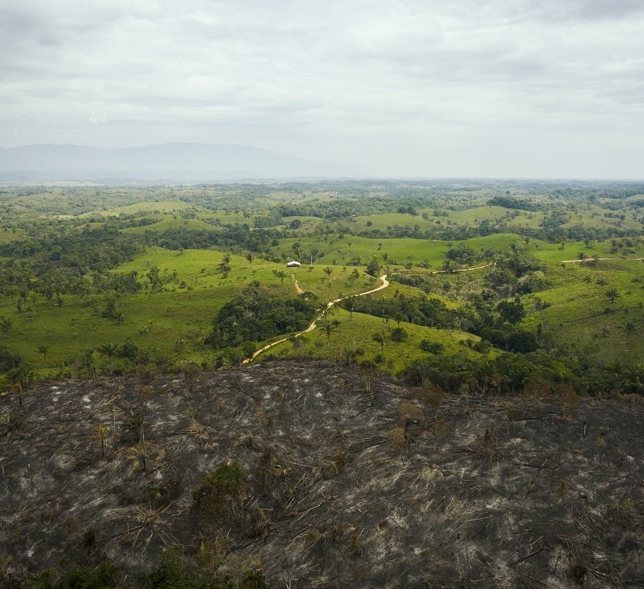 A deforested landscape in the tropics