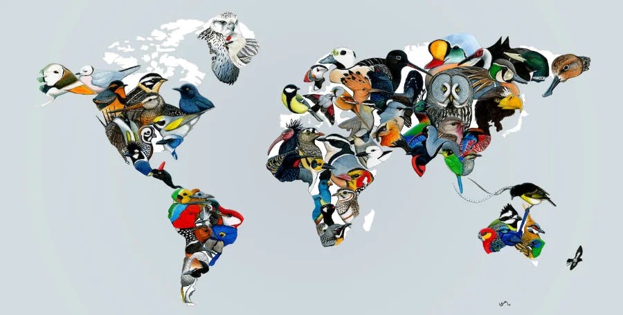 The Global Big Day graphic
