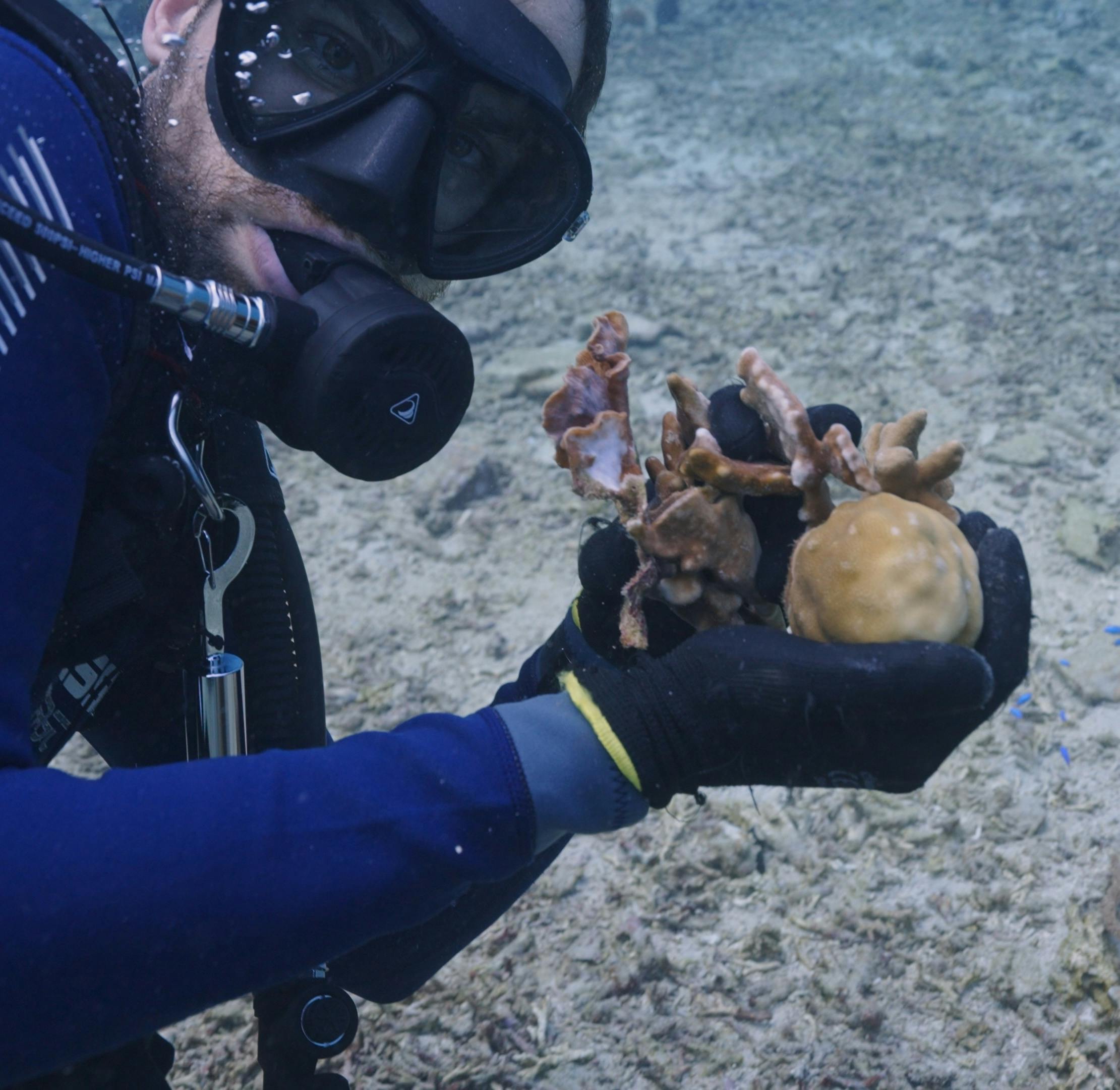 Duarte from Mossy Earth holding some corals of opportunity