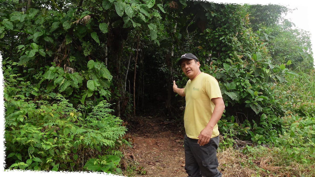 Fredy at Mossy Earth Yasuni project