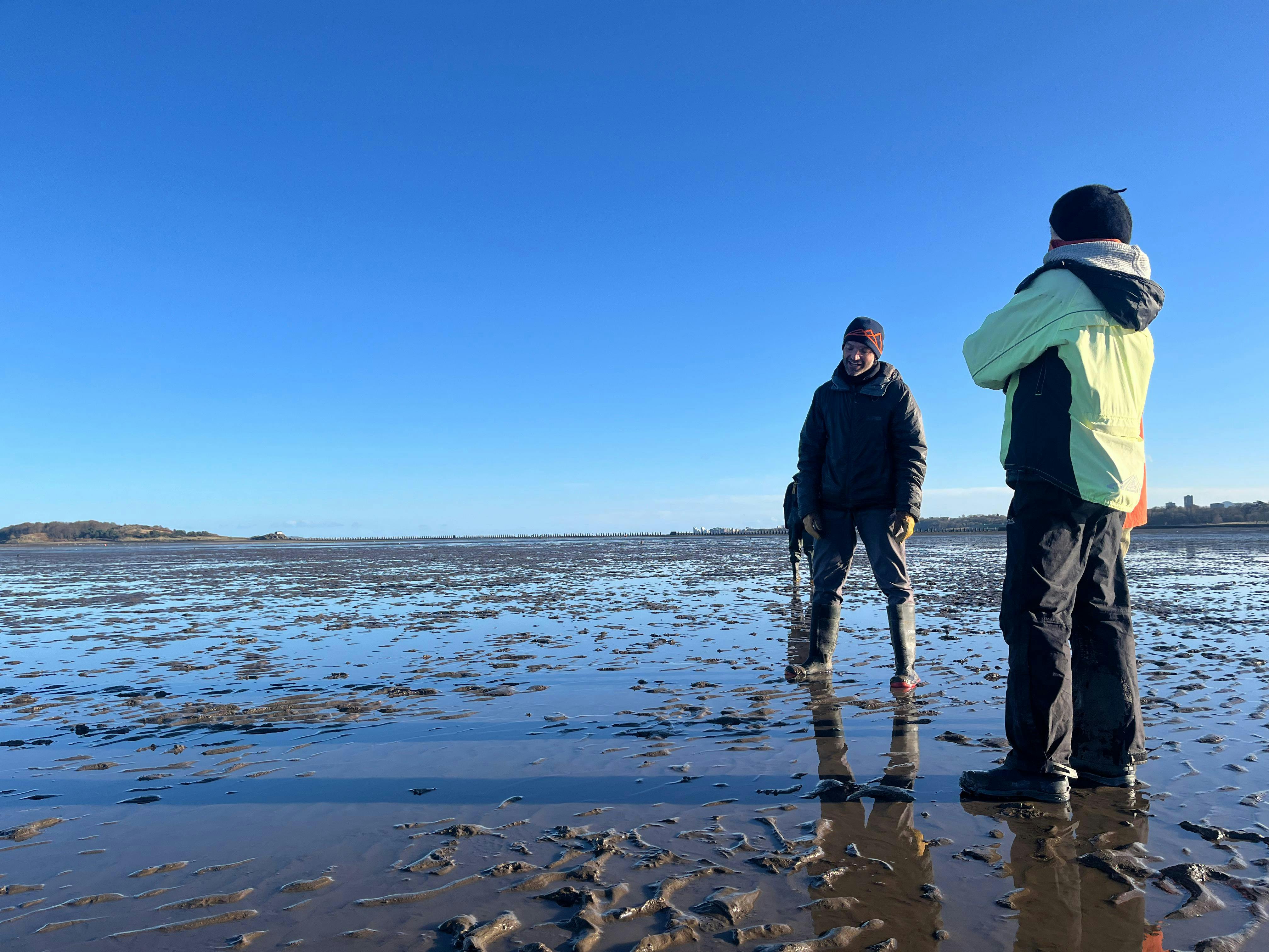 biologists in mudflats