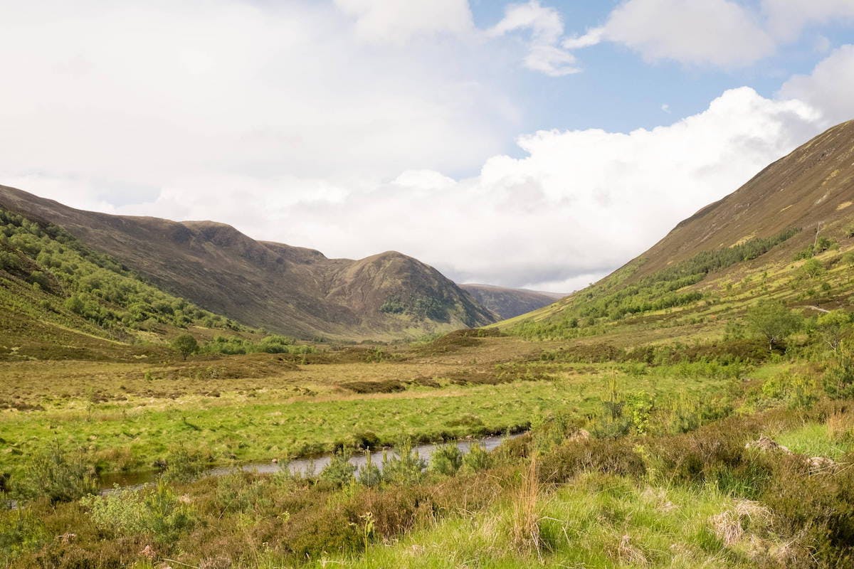 A vibrant green valley covered in both young and tall trees. By rewilding Scotland, more empty hillsides and glens could look like this.