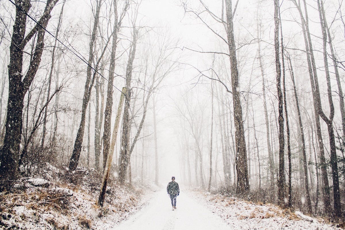 A man walking along a path in a snowy forest.