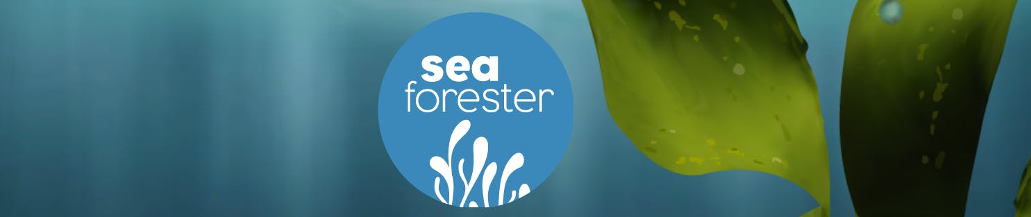 SeaForester is an initiative that aims to reverse the alarming disappearance of seaweed forests in the world in order to safeguard the oceans’ vital role of carbon sequestration, maintaining fish stocks and securing the planet’s wellbeing. 