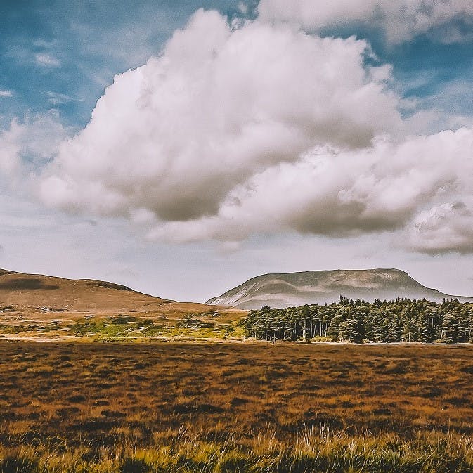 A landscape of scrub and forest transitioning through the stages of ecological succession during natural regeneration. 