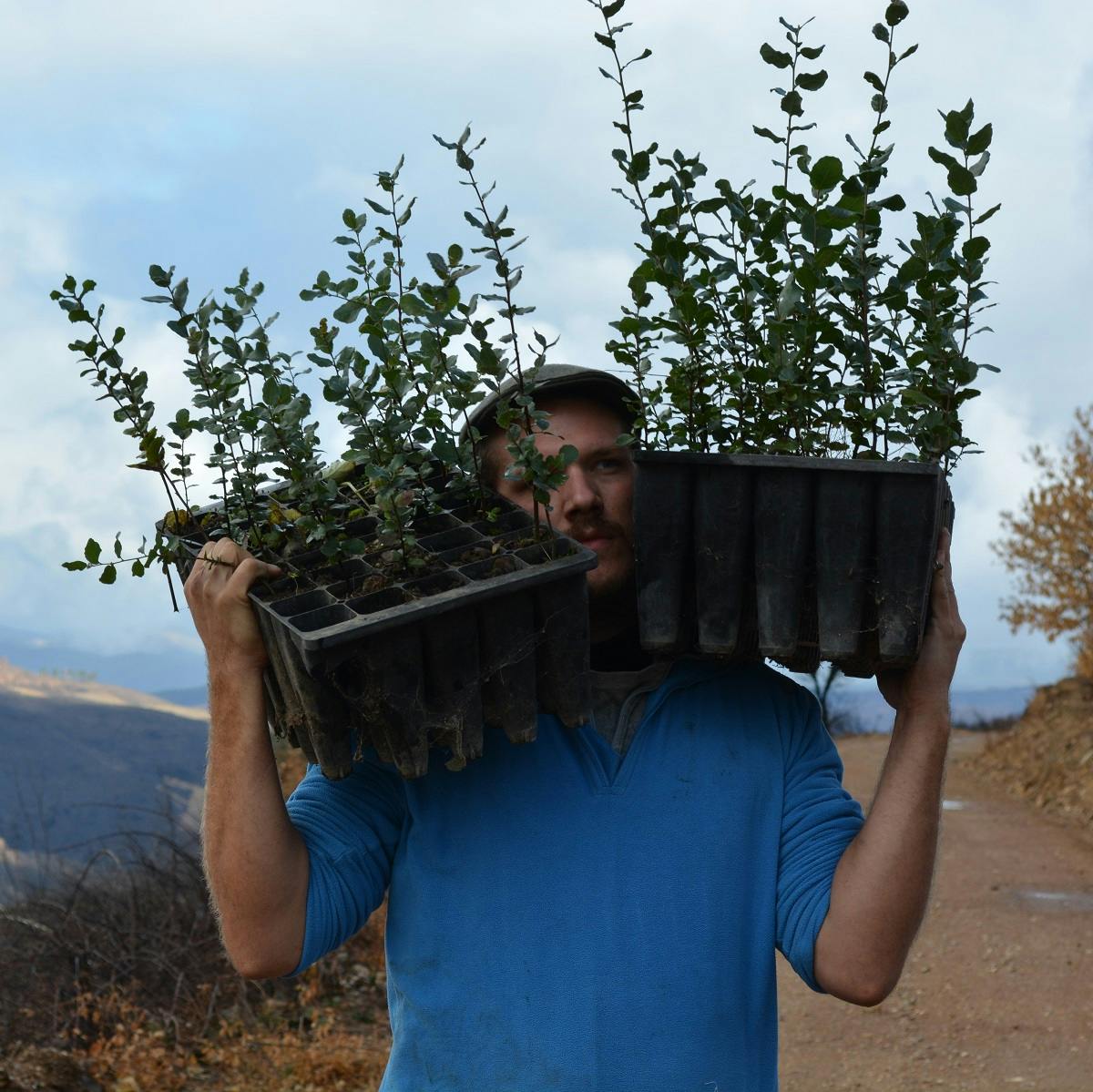 A tree planter carrying native saplings to be planted in Portugal to help fight deforestation on the Iberian peninsula. 