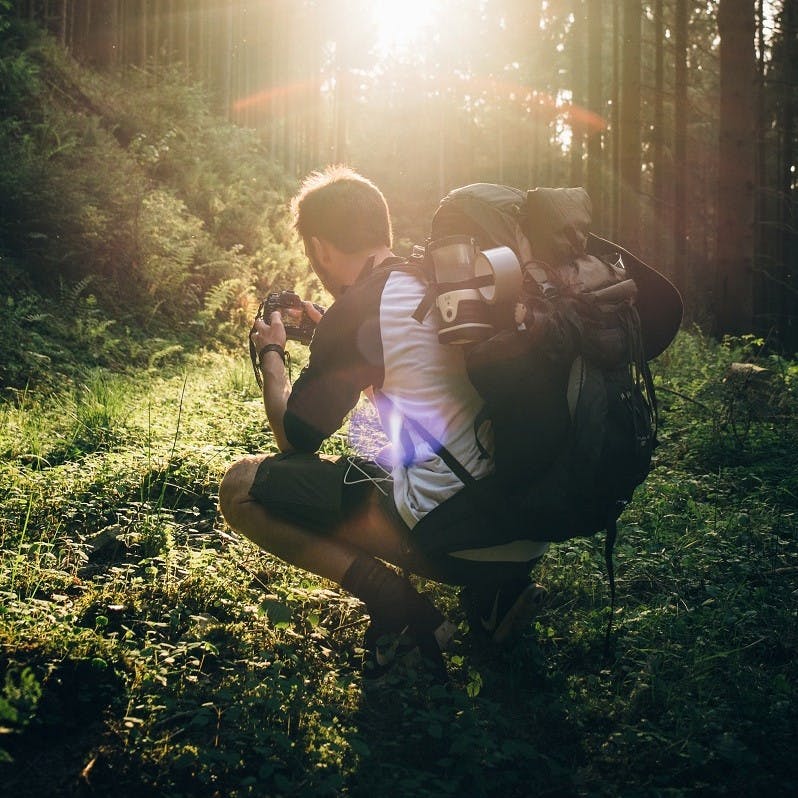 A backpacker kneels to take a break and enjoy the sunset in a forest.