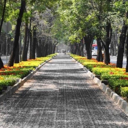 A row of trees and plants line a pathway to act as a wildlife corridor in a city.