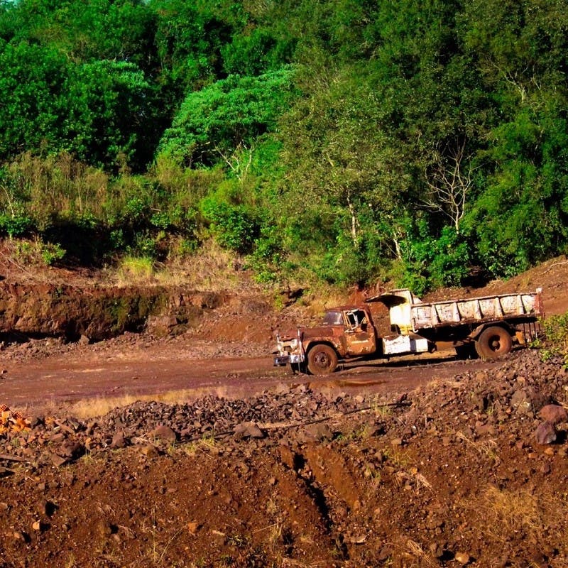 Habitat loss is one of the leading causes of the sixth mass extinction event and is driven by the growing human population and our growing use of resources.