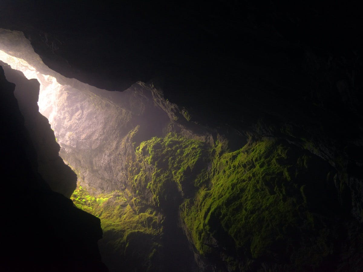 A deep and dark Karst cave, which would be home to an abundance of cave dwelling creatures including bats, the olm salamander and glowworms
