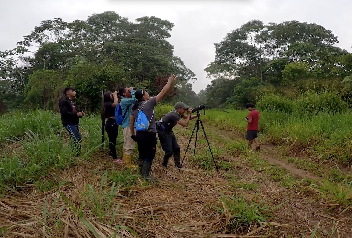 birdwatchers on mossy earth land