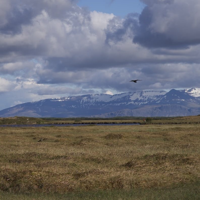 Mýrar peatland