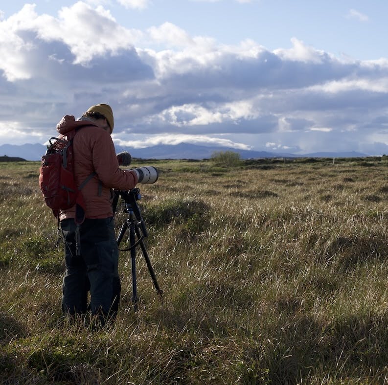 Duarte filming in Icelandic wetlands
