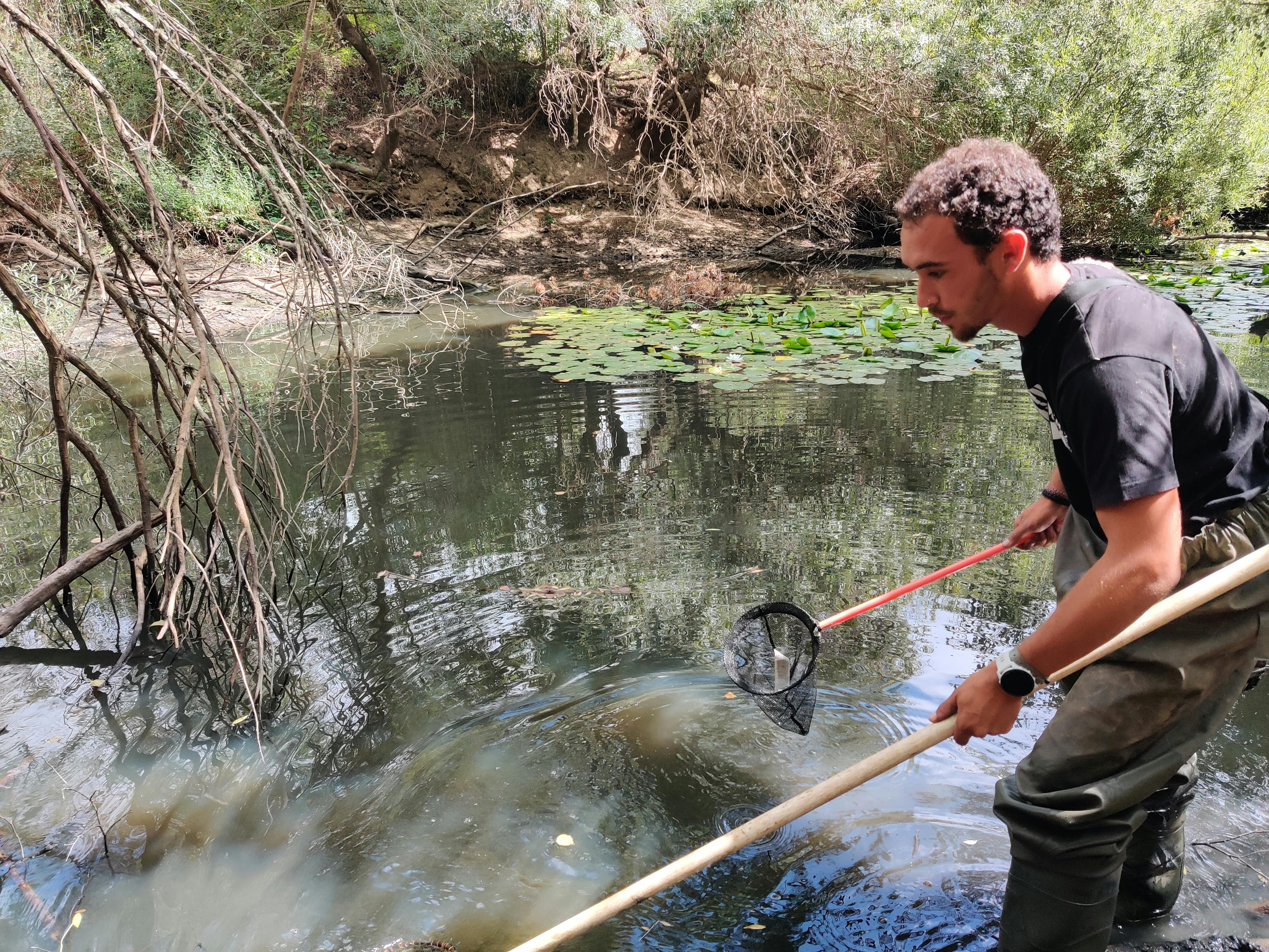 electrofishing in the Mira river