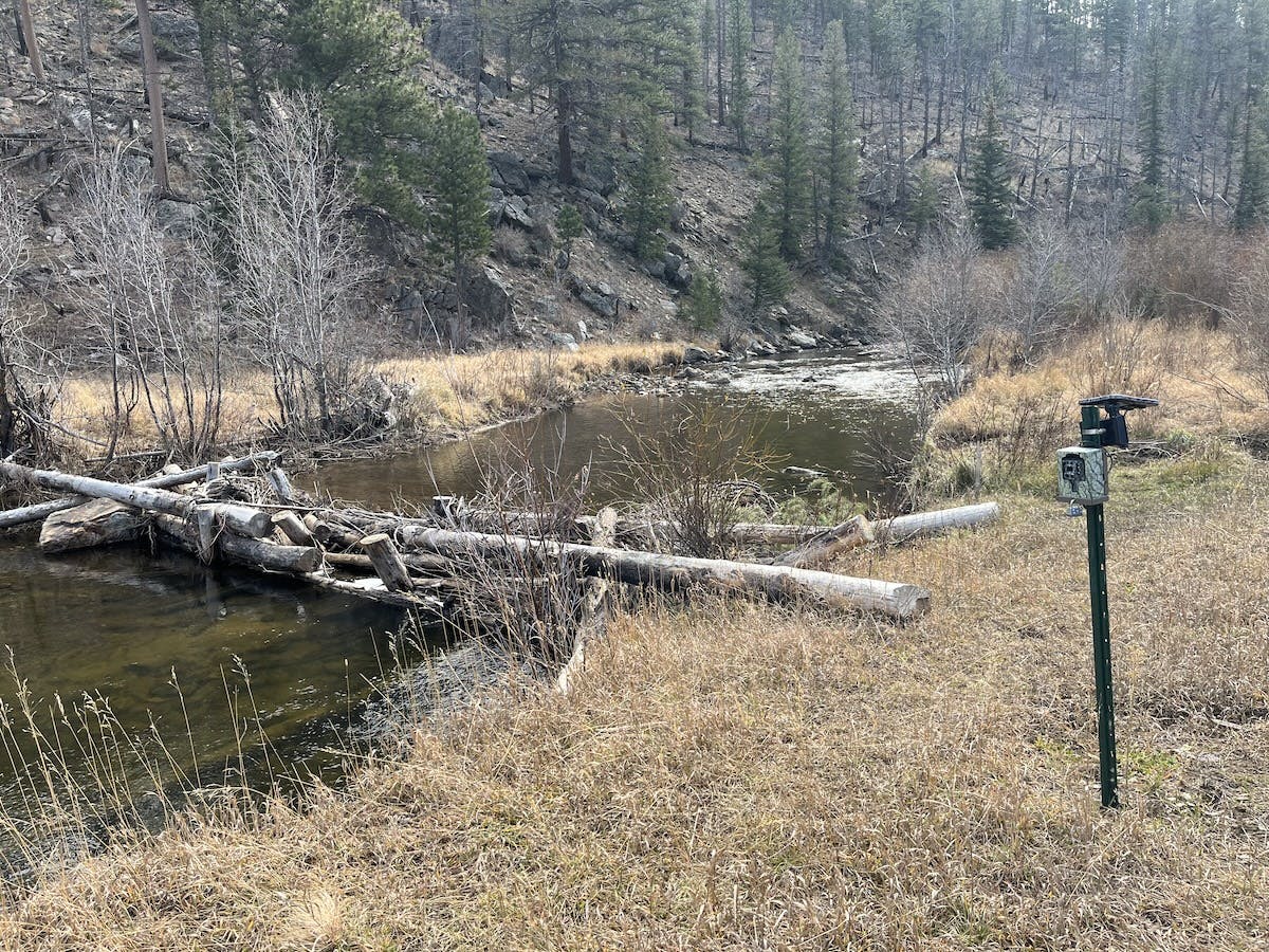 river restoration structure along SOuth Fork