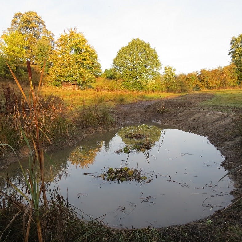 the pond after works