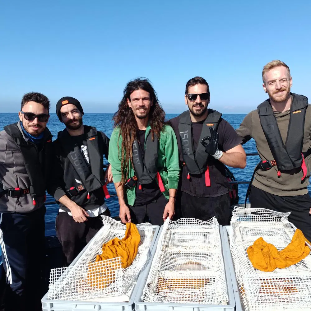 seaforester team
