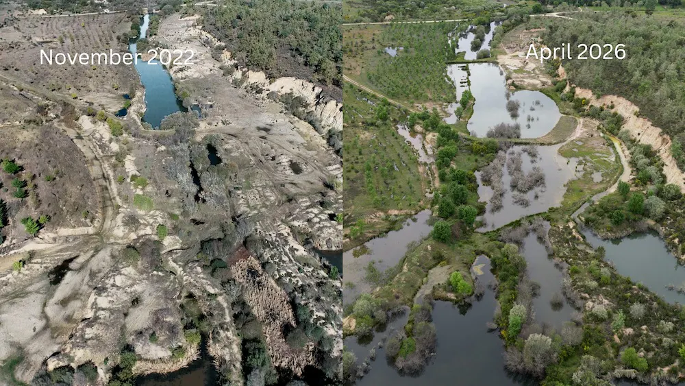before after shot of the rewilded quarry