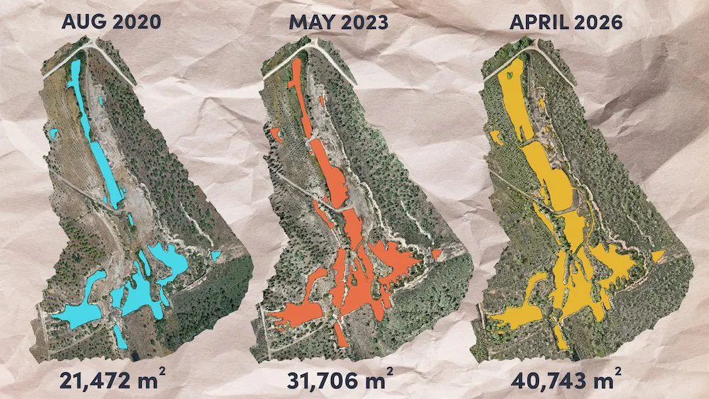 orthophotos of the rewilded quarry