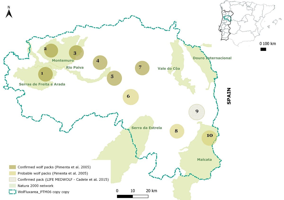 Map of the area and approximate location of wolf packs in the region. Source: Rewilding Portugal.