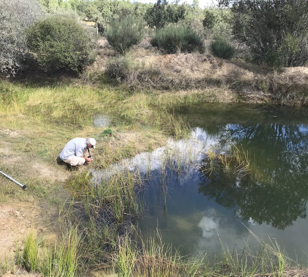 Udo conducting an aquatic plant survery