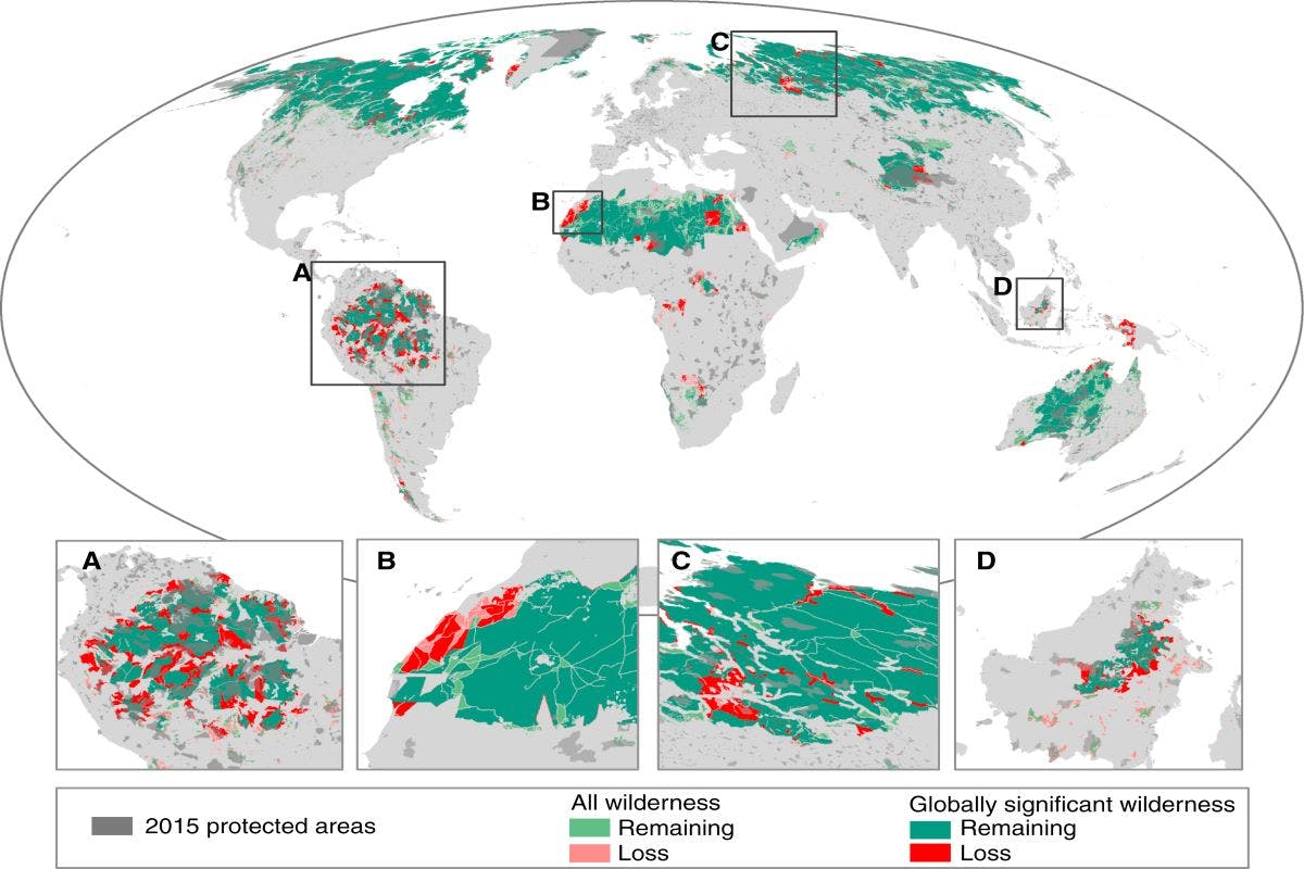 A world map highlighting the change in distribution of wilderness and globally significant wilderness areas since the early 1900s. 