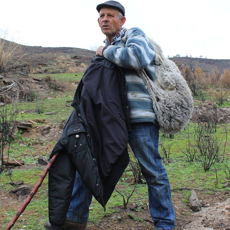 A local sheep farmer, who has had his fair share of run ins and attacks on his flock from the Iberian wolf.