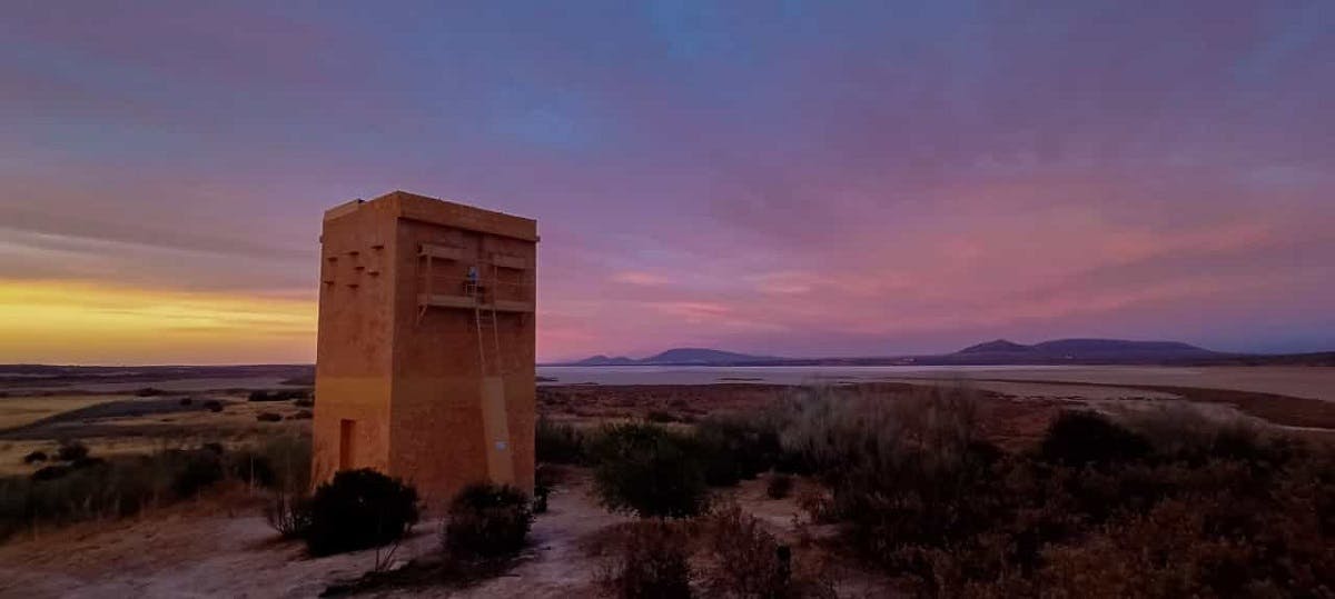 A purpose-built lesser kestrel breeding tower called a 'primillar' in Andalucia, Spain.