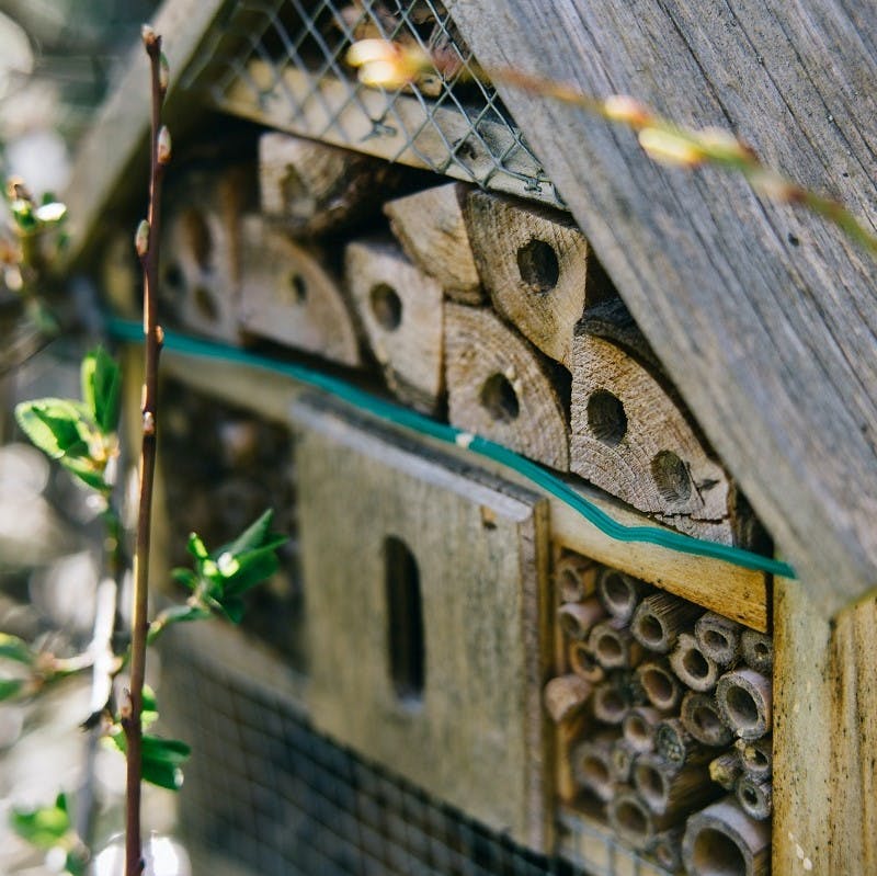 A bee hotel made from recycled and reused materials.
