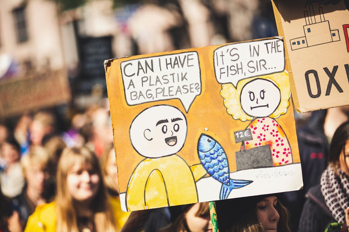 A climate crisis demonstration. The increase in such demonstrations reflects the world's eco anxiety.